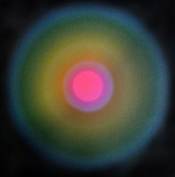 Sogno d'estate